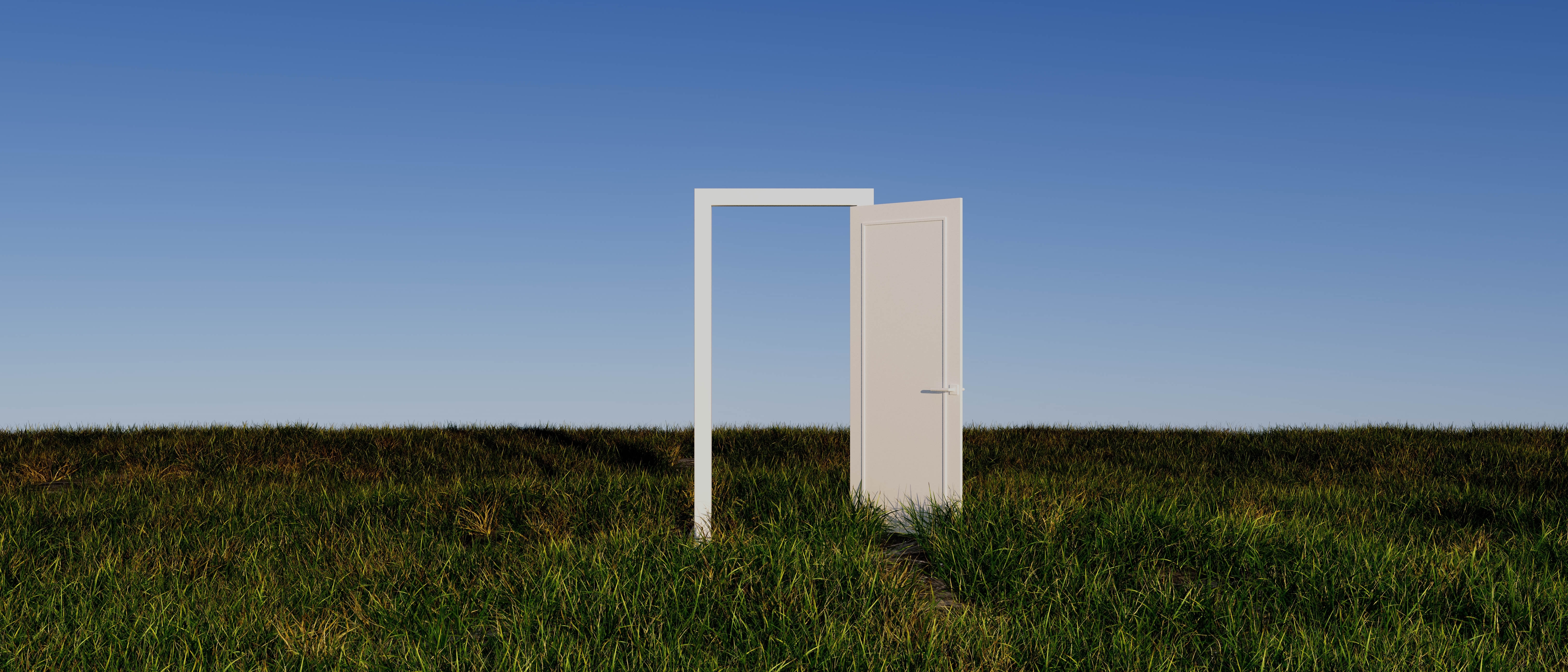A single door standing open in an empty field of grass under a clear sky.