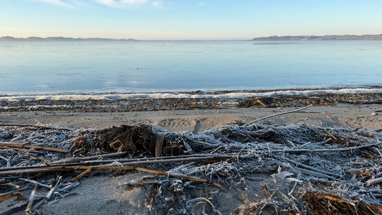 A frosted shoreline where the sand meets still winter water.